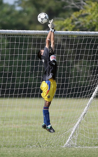 部蛮力推动 部蛮力推动