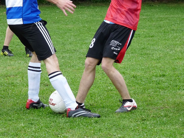 球队提供了 球队提供了