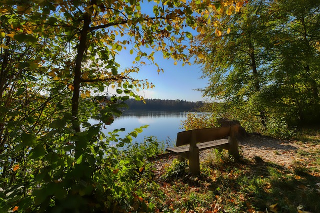 年伊朗革命 年伊朗革命