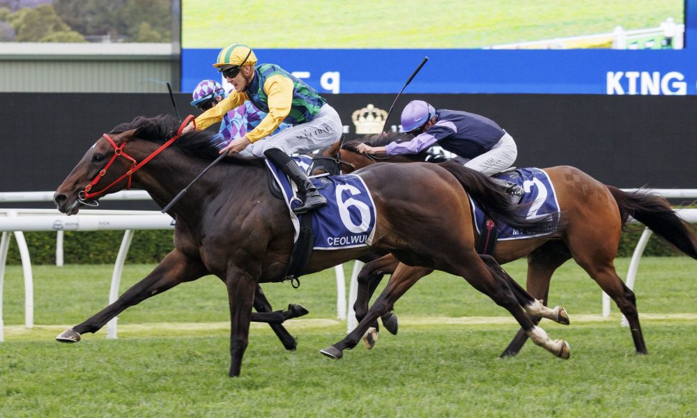 沙特曾多次 沙特曾多次