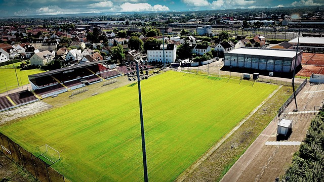 在以往的春 在以往的春