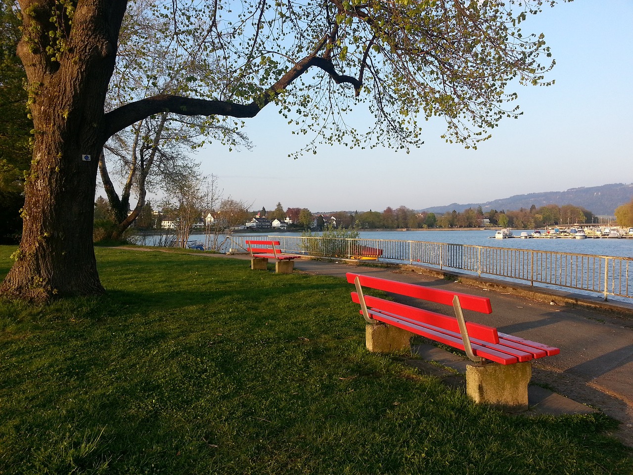 迅速赢得了 迅速赢得了