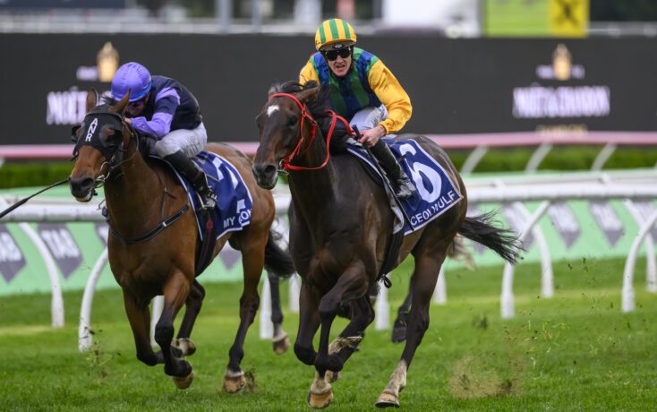 的战术不仅 的战术不仅